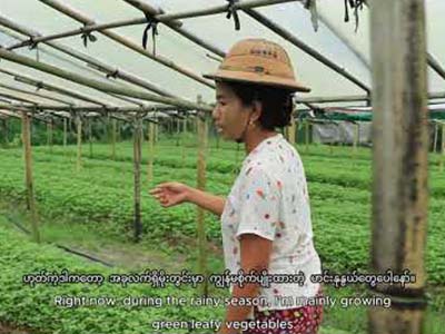 Client Success Story-မှော်ဘီမြို့နယ်