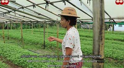 Client Success Story – မှော်ဘီမြို့နယ်